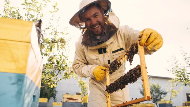 12 Honey-Sweet Romance Books About Beekeepers